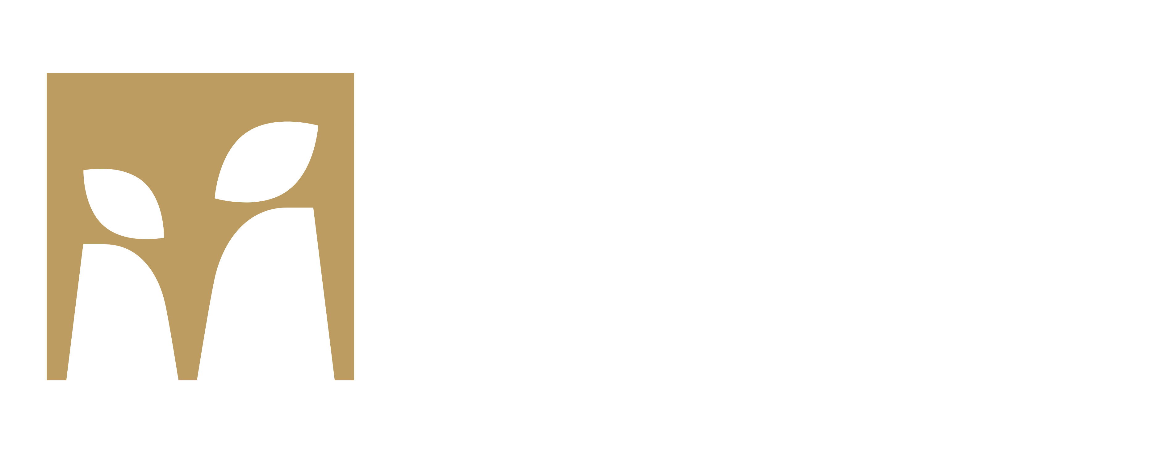 Ersoy Holding